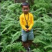 View album