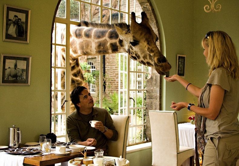 قصر الزرافات في كينيا Giraffe-manor-8%25255B2%25255D