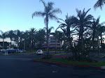 IMG_20110408_065940.jpg