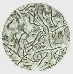 clip_image001