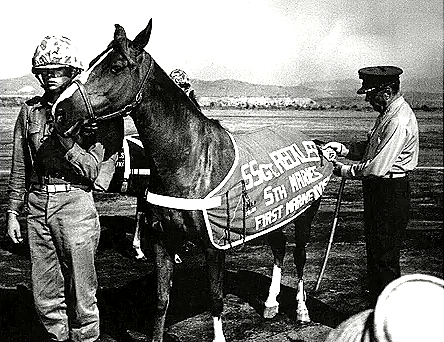 [sgt-reckless%255B6%255D.png]