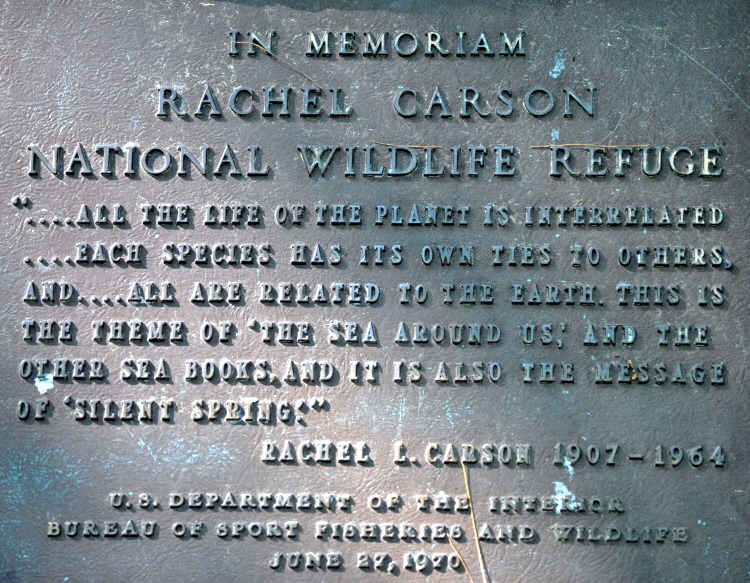 [02e3b---Rachel-Carson-Nature-Trail-M%255B1%255D.jpg]