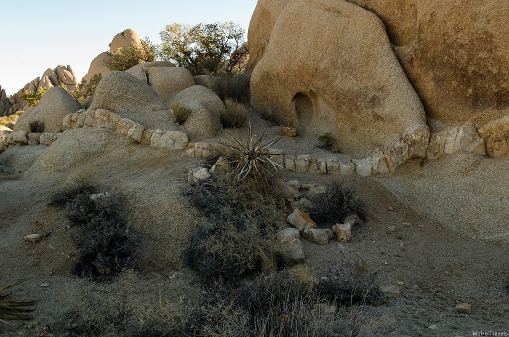 [Joshua%2520Tree%2520Morning%2520%252812%2520of%252054%2529%255B2%255D.jpg]