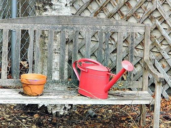 [Wordless%2520Wed%2520backyard%252014%255B4%255D.jpg]