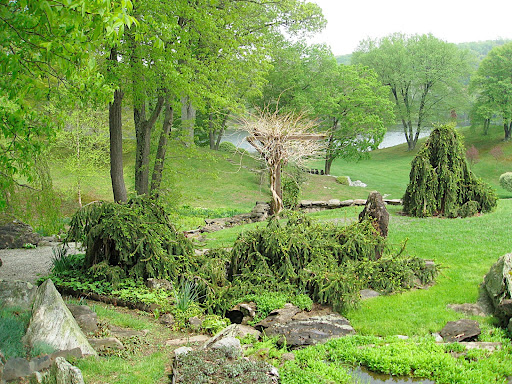In the main garden, carefully placed, sculptural shrubs play out a drama of each visitor's imagining.