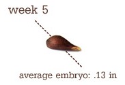 [week59.jpg]