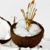 Kokosowy sorbet