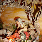 1417-5.JPG