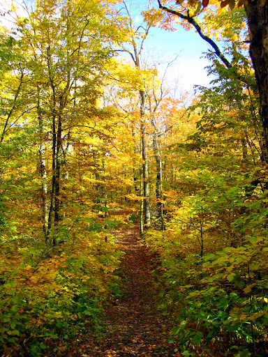 Lucky's Loype trail