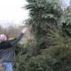 Tannenbaumaktion 08_772.jpg