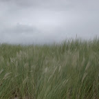 _IGP5760.jpg