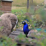 IMG_2807.JPG
