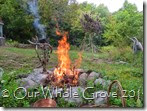 sacred fire sacrifice sacred fire sacrifice