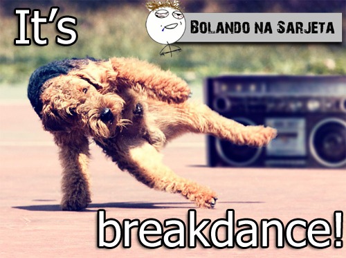 [break-dance-dog%255B3%255D.jpg]