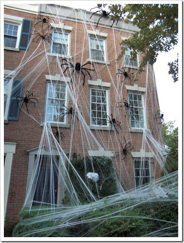 spiders apartment therapy