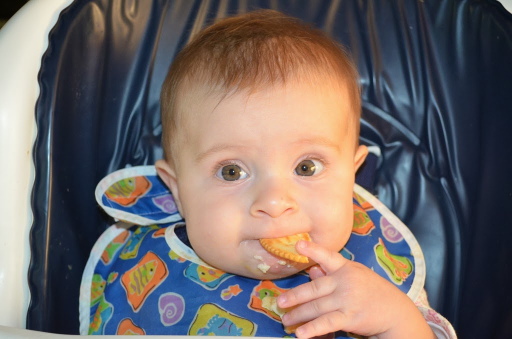 [DSC_5322%255B3%255D.jpg]