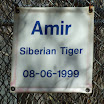 DSCF0433.JPG