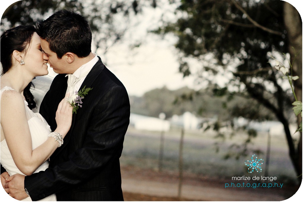 [IMG_7639%2520a%255B6%255D.jpg]