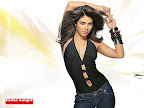 Wallpapers of Priyanka Chopra