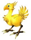 Chocobo Chocobo