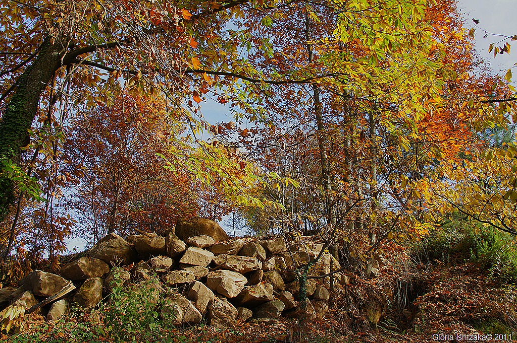 [23-%2520Gl%25C3%25B3ria%2520Ishizaka%2520-%2520gardunha%255B19%255D.jpg]