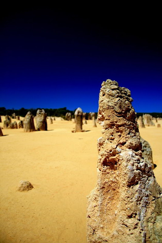Pinnacles Desert 1 - Western Australia - Australia