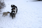 _DSC0042.JPG