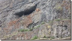 IMG_4359 (640x359) IMG_4359 (640x359)