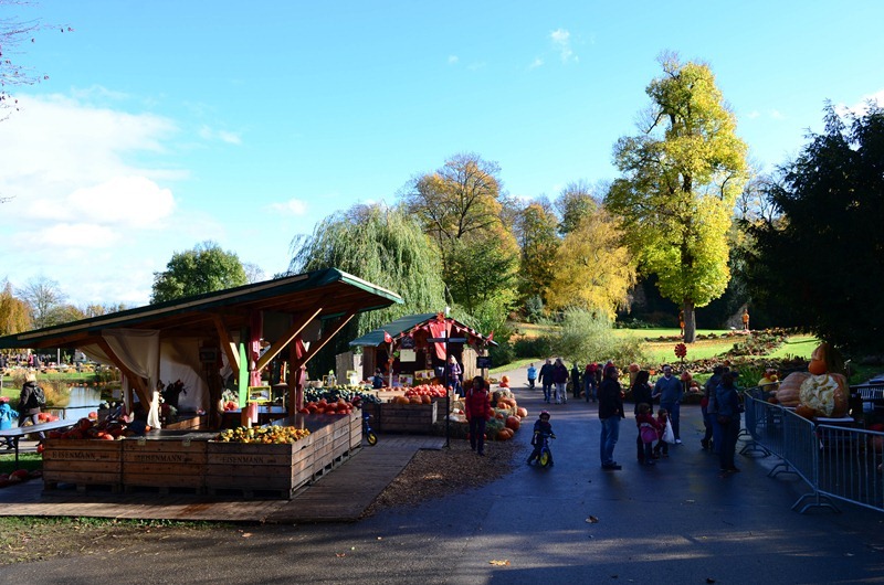 Festival10