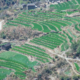 Tiger Leaping Gorges - terraces