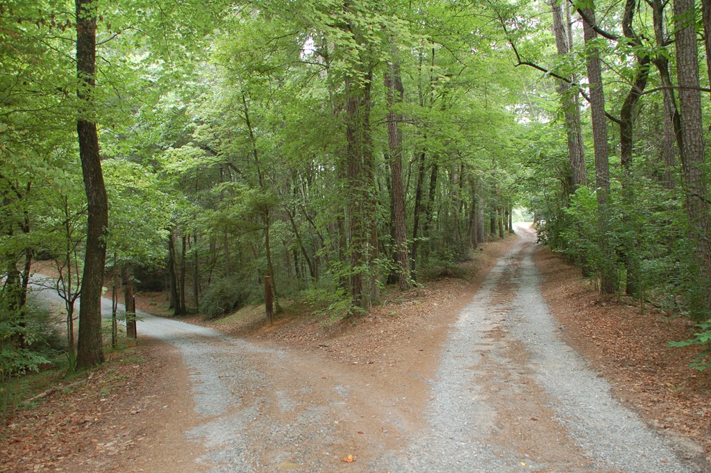 [fork-in-the-road1%255B4%255D.jpg]