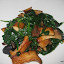 RN74 Spinach.JPG