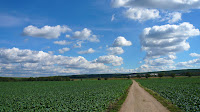 P1120049.JPG