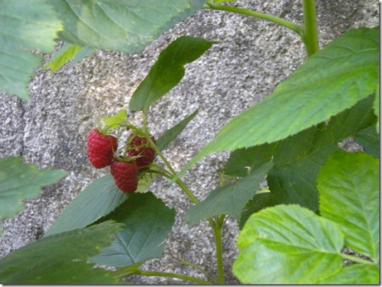 DSCN1562 DSCN1562