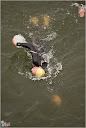 Roth_2010_100.jpg