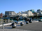 Sprachaufenthalt Wellington