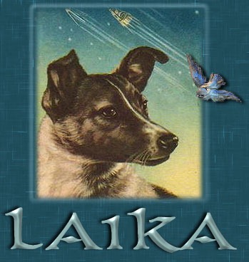 [laika2011-58888%255B3%255D.jpg]