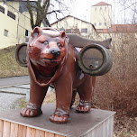 bear carring beer in Freising, Germany 