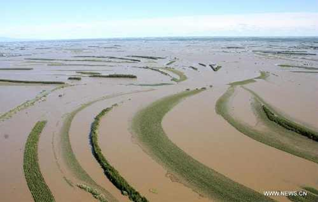 The aerial photo taken on 26 August 2013 shows fields inundated by floods along the Tongjiang-Fuyuan river section of the Heilong River in northeast China's Heilongjiang Province. The Heilong River has swelled since mid-August, with some sections of its middle and lower reaches seeing their worst floods in history. Photo: Ma Ling / Xinhua