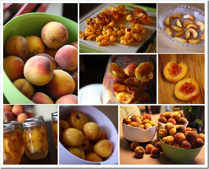 Peach Collage