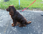 Fenna, op 2 mei 2011