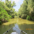 IMG_5771.JPG