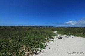 IMG_9634 IMG_9634