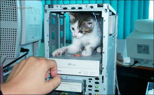 Some Scenes Cant Be Seen Everyday