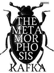 The metamorphosis The metamorphosis