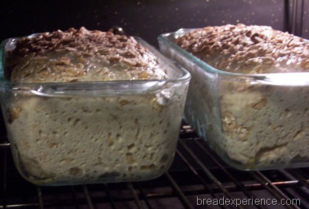[multigrain-spelt-bread-with-soaker%2520023%255B2%255D.jpg]