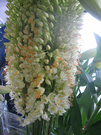 Let's kick off the gallery with a handful of pretty flowers!