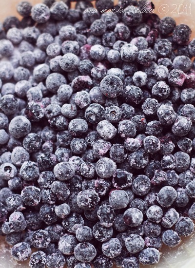 Blueberry tartlets 3 wtr
