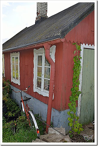 DSC_0063 DSC_0063
