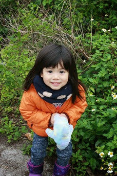 IMG_3189 IMG_3189